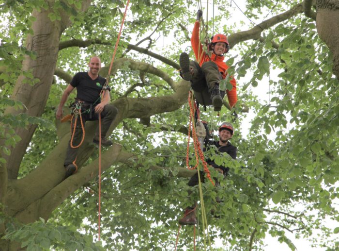 Werken in bomen